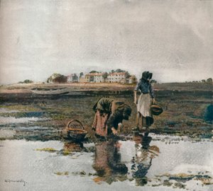 Colheita de mexilhão, c1908