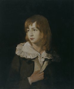 Retrato de um rapaz, John Parry of Garden, c.1788-89 (óleo sobre tela)
