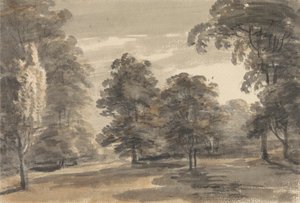 Um Glade numa Madeira de William Pars