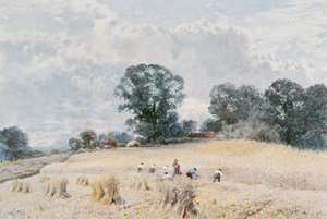 A colheita de William Paton Burton