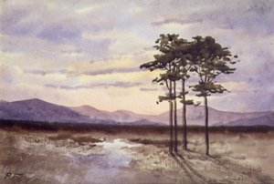 Sunset, Condado de Sligo (aguarela sobre papel) de William Percy French