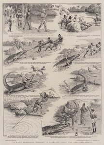 A pesca de crocodilos de um dia, a primeira e única experiência de um Shikari