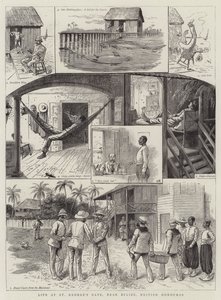 Vida, em, st george&39;s, caye, perto, belize, britânicas, honduras