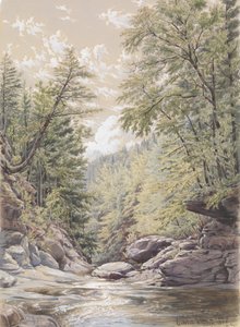 Cravo da índia Catskill em Palingsville, 1856.