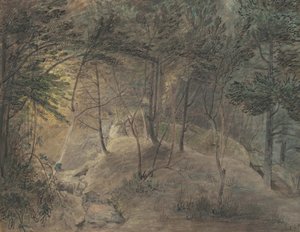 A vista do Springhouse em Echo, c.1808 (aquarela e tinta em papel de wove)