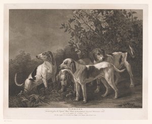 Quatro cães de caça
Harriers (título sobre o objecto) de William Satchwell Leney