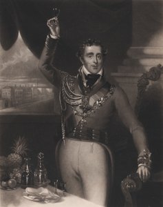 O Duque de Wellington, 1828.