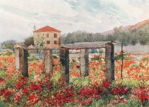 Um jardim de rosas, Bordighera (litografia a cores) de William Scott