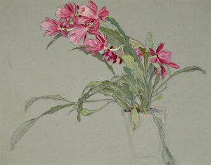 Cato de Natal, c.1920-30 (aguarela)