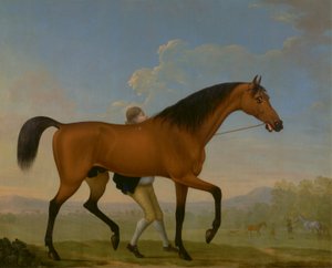 O Duque do Garanhão da Baía de Ancaster, em branco, Caminhando em direcção a uma égua de William Shaw