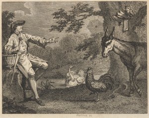 A Coruja, o Cisne, o Galo, a Aranha, o Rabo e o Agricultor