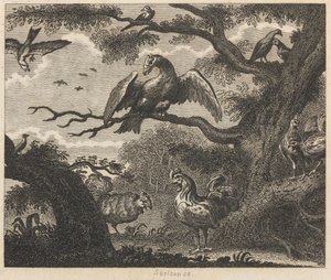O Abutre, o Pardal, e outras Aves