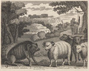 O Javali e o Carneiro de William Skelton