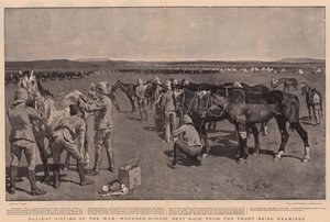 Vítimas Pacientes da Guerra, Cavalos Feridos enviados de volta da Frente sendo examinados