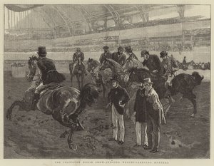 O Islington Horse Show, julgando os caçadores de peso