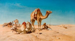 Uma parada no deserto, 1867