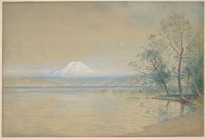  de William Stanley Haseltine
