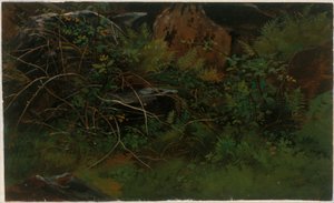 Estudo da natureza de William Stanley Haseltine
