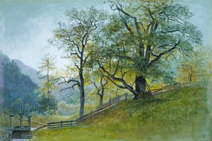Vahrn no Tirol, perto de Brixen. de William Stanley Haseltine