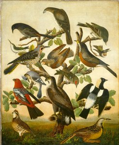 Aves, c.1840 (óleo sobre tela)