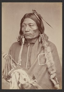 Pacer [Peso, Essa-queta: Chefe Kiowa Nde]. de William Stinson Soule
