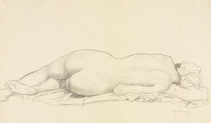 Nude Reclinado.