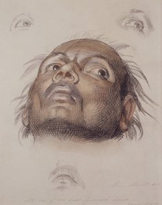 Estudo da Cabeça de um Índio Este, c.1875 (lápis e tinta no papel) de William Strutt