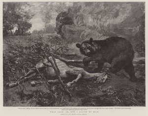 Que sorte! ou, como eu matei meu urso de William Strutt
