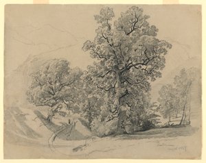 Paisagem, Lauterbrunnen, Suíça de William Trost Richards