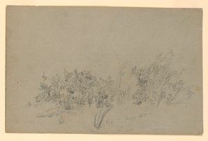 Estudo da folhagem de William Trost Richards