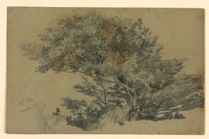 Estudo da folhagem de William Trost Richards