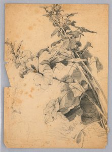 Estudo da folhagem de William Trost Richards