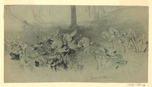 Estudo da folhagem de William Trost Richards