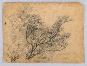Estudo da folhagem de William Trost Richards