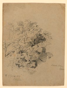 Estudo da folhagem de William Trost Richards