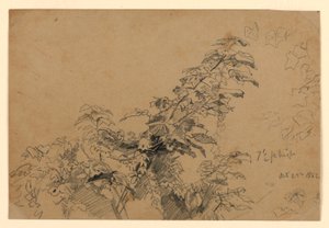 Estudo da folhagem de William Trost Richards