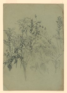 Estudo da folhagem de William Trost Richards