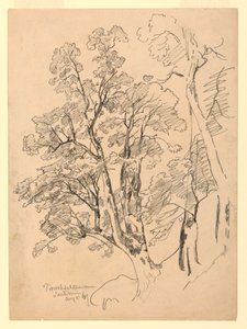 Estudo da folhagem, Trachselwald, Berna, Suíça de William Trost Richards
