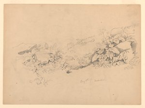 Estudo da folhagem, Trachselwald, Berna, Suíça de William Trost Richards
