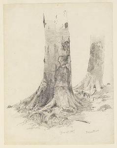 Troncos de árvore, Darmstadt de William Trost Richards
