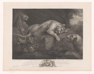 Drie spelende leeuwen
Leões em jogo (título sobre o objecto)
Schilderijen uit The Houghton Gallery (título da série)
A Galeria Houghton (título da série)