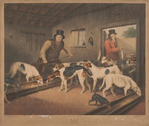 Caça à raposa: matilha de Raby / Os foxhounds do conde de Darlington no seu canil de William Ward