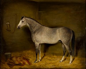 Arab Horse in a loose box, c.1860 (óleo sobre tela)