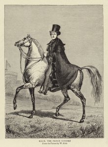 SAR o príncipe consorte de William Wolfe Alais