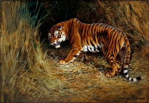 Um Prowling Tiger (óleo sobre tela colocado a bordo)