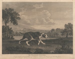 [O Ponteiro Espanhol de William Woollett