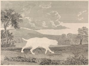[O Ponteiro Espanhol de William Woollett