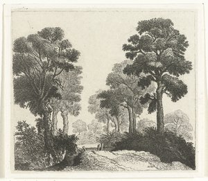 Paisagem com árvores ao longo de um caminho