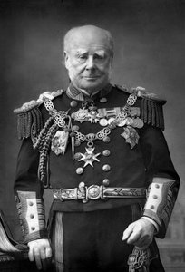 Almirante da frota Sir Henry Keppel 1809-1904, 1893. de William and Daniel Downey