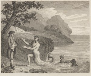 Courtier e Proteus